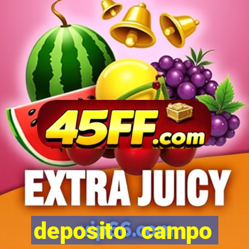 deposito campo grande santos